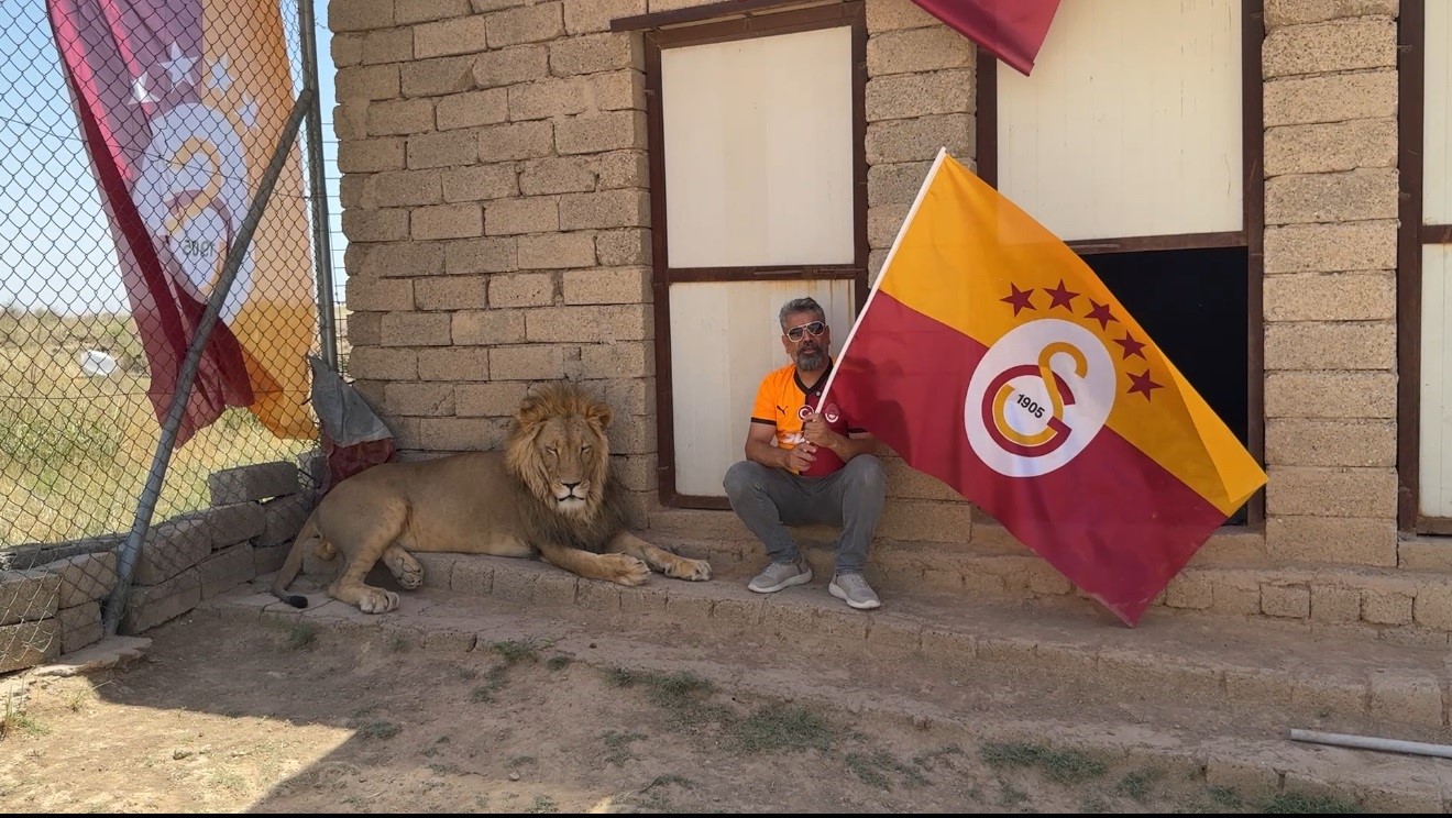 Galatasaraylı taraftar, şampiyonluğu aslanlarıyla kutladı
