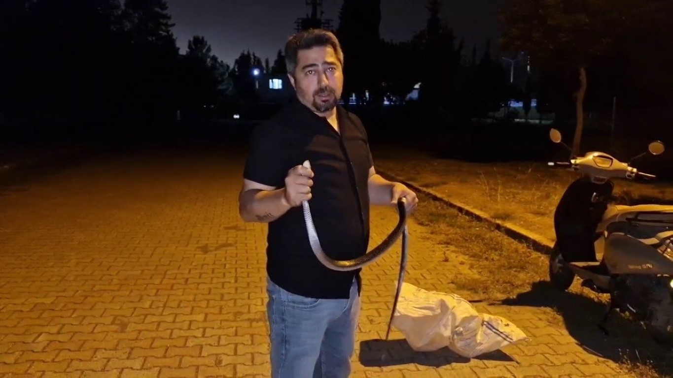 Yılanlara fısıldayan adam, çamaşır makinesine giren 1 buçuk metrelik karayılanı nasihat vererek doğaya bıraktı