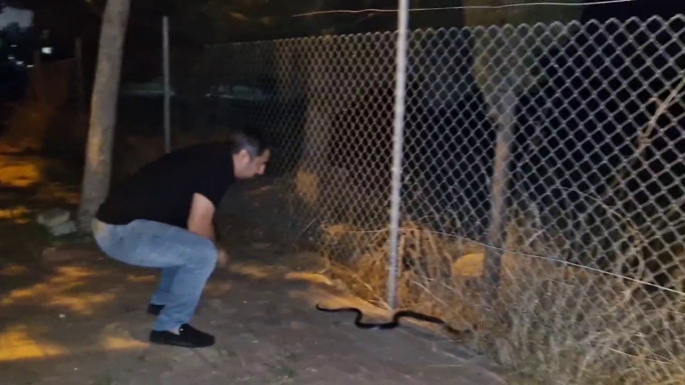 Yılanlara fısıldayan adam, çamaşır makinesine giren 1 buçuk metrelik karayılanı nasihat vererek doğaya bıraktı