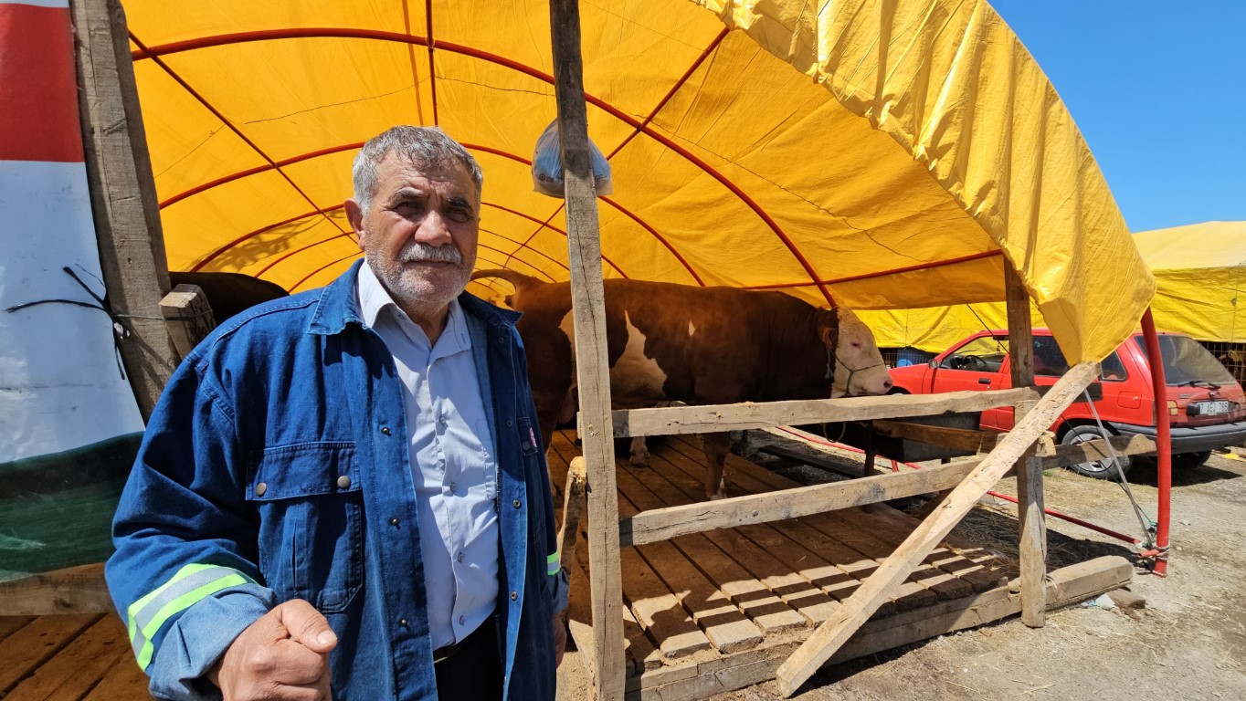 Pazarın yıldızı ‘Yıldız’ oldu; 850 kiloluk kurbanlık 285 bin TL’ye satıldı