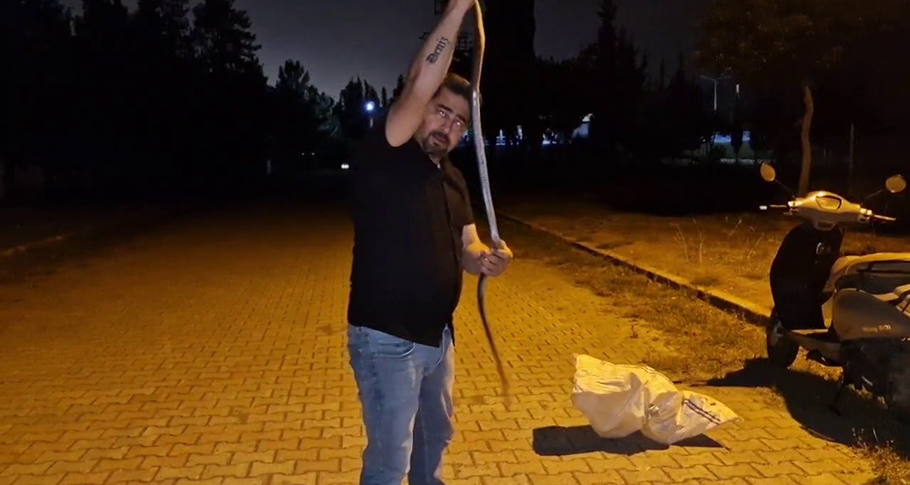 1 buçuk metrelik karayılanı nasihat vererek doğaya bıraktı