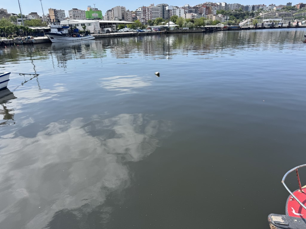Bandırma nefes alamıyor, vatandaş Çelebi Limanı’na isyan etti