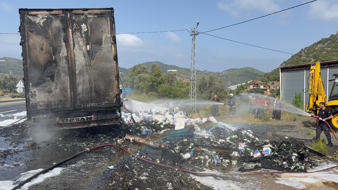 Peçete yüklü tır alev alev yandı