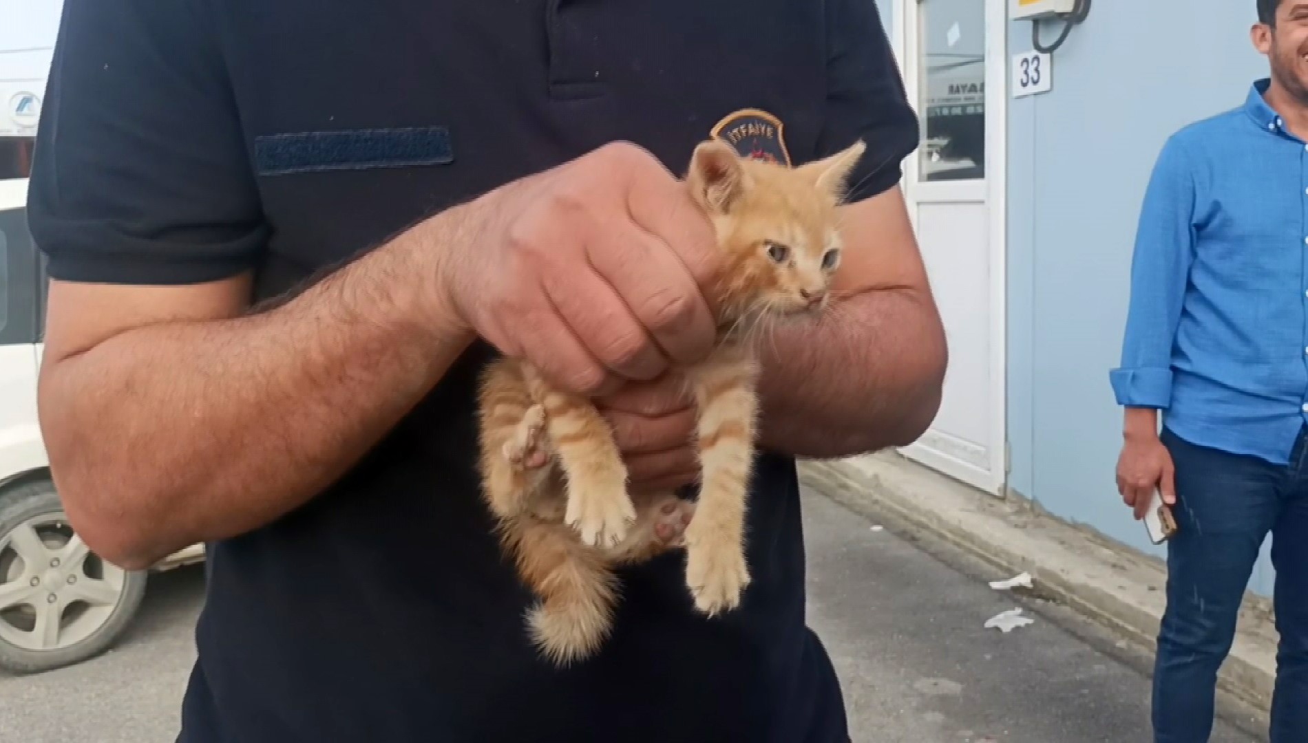 Aracın motoruna giren yavru kedi telefondan miyavlama sesi açılarak çıkartıldı