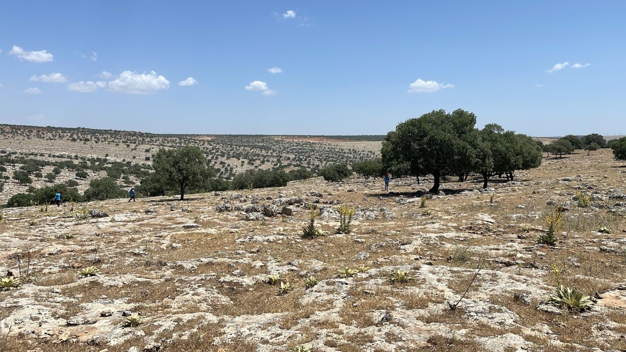 Gaziantep’te 5 gündür kayıp çocuğu arama çalışmaları aralıksız sürüyor