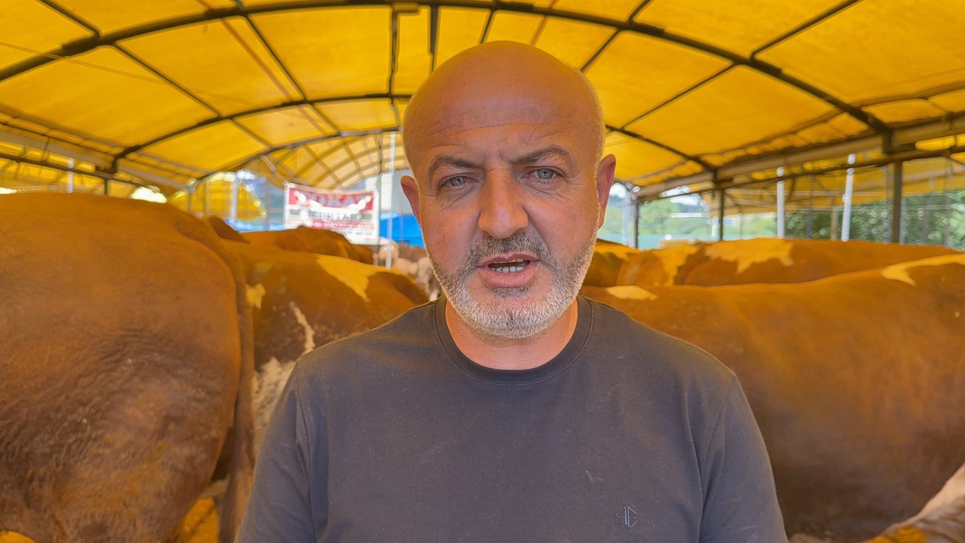 Kurban pazarının şampiyonu oldu: 1 ton 200 kiloluk dana 420 bin TL'ye alıcı buldu
