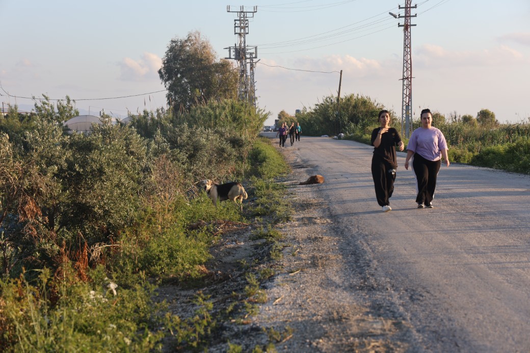 Kuduz karantinasının olduğu 4 mahallede sokak köpekleri vatandaşları tedirgin ediyor