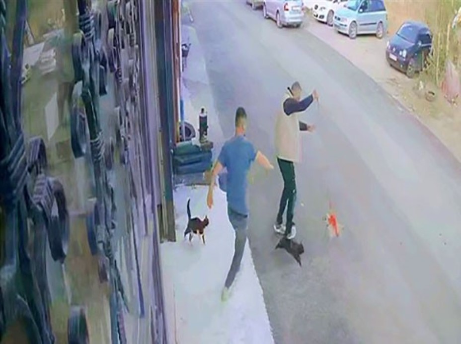 Çılgın kedilerin saldırısı güvenlik kamerasında