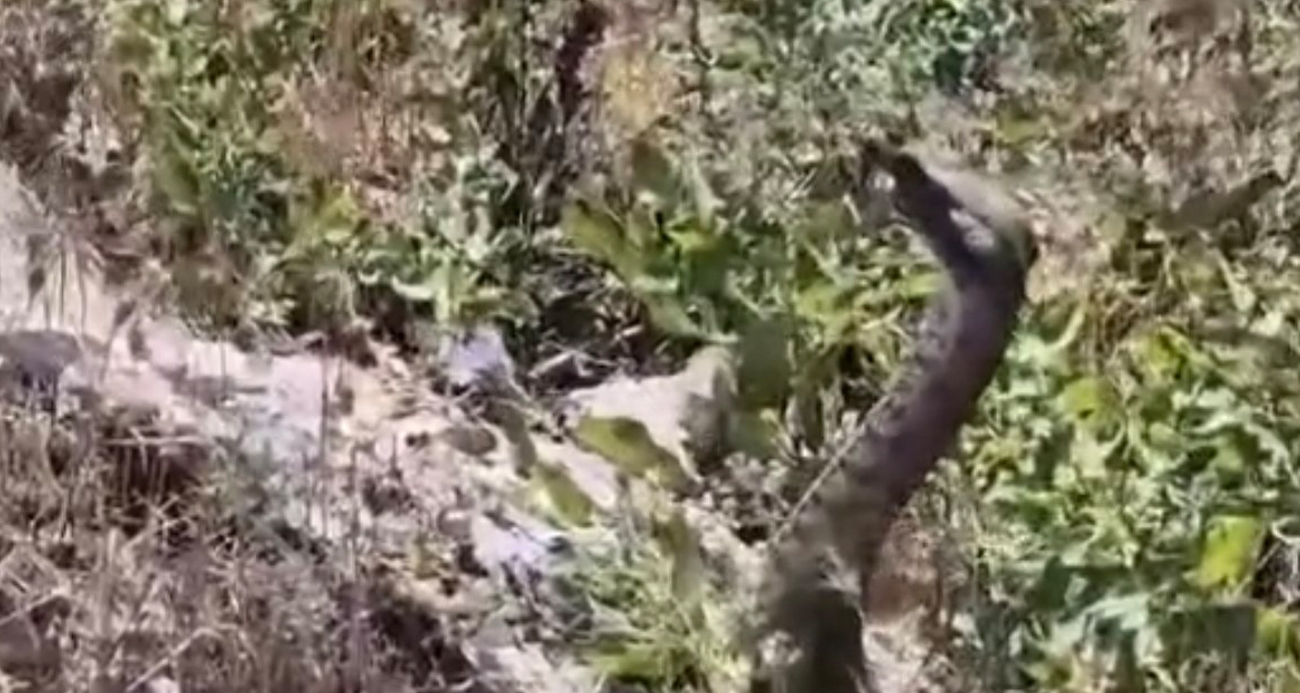 Korku dolu anlar yaşandı!
