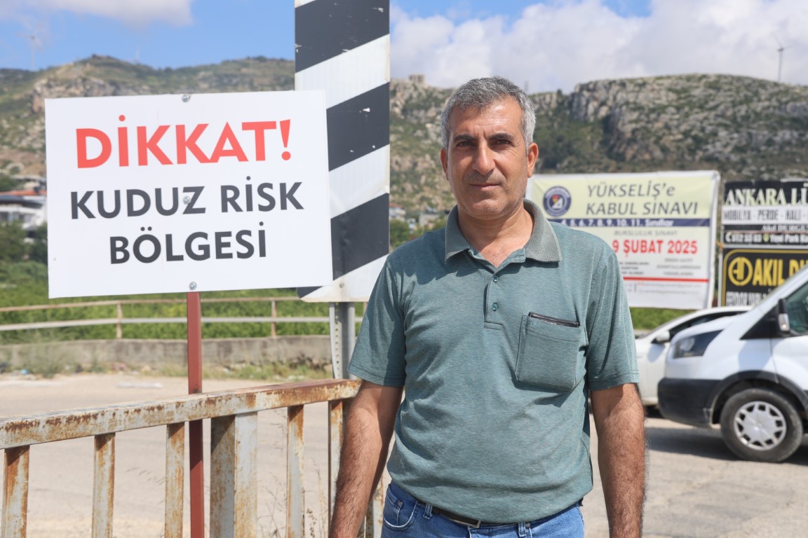 Kuduz karantinasındaki 4 mahallede başıboş köpekler toplanmaya başladı
