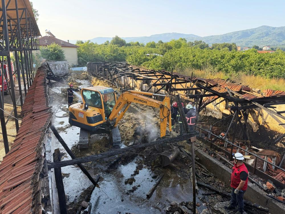 Bayrama iki gün kala yürek yakan yangın: Kurbanlıklar telef oldu