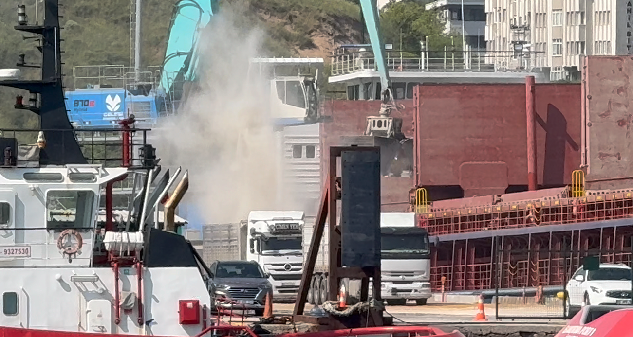 Çelebi Limanı kirlilik saçıyor, Bandırma Körfezi ölüyor