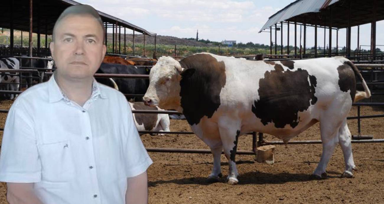 Sattığı kurbanlık dananın fotoğrafını çekerken canından oldu