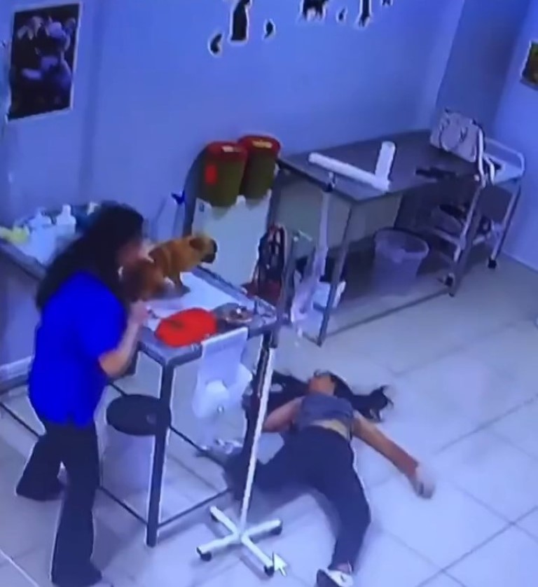 Veteriner kliniğinde köpeğini tedavi ettiren kadın bayıldı