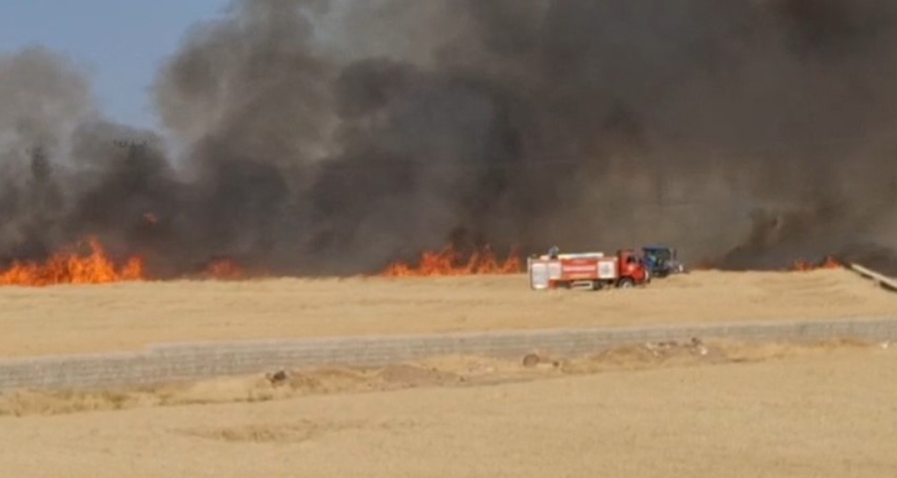 Araban Ovası’nda hasada hazır 50 dönüm buğday yandı