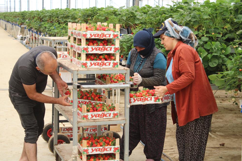 Tarımı, teknolojiyle birleştirdi yaşıtlarına örnek oldu