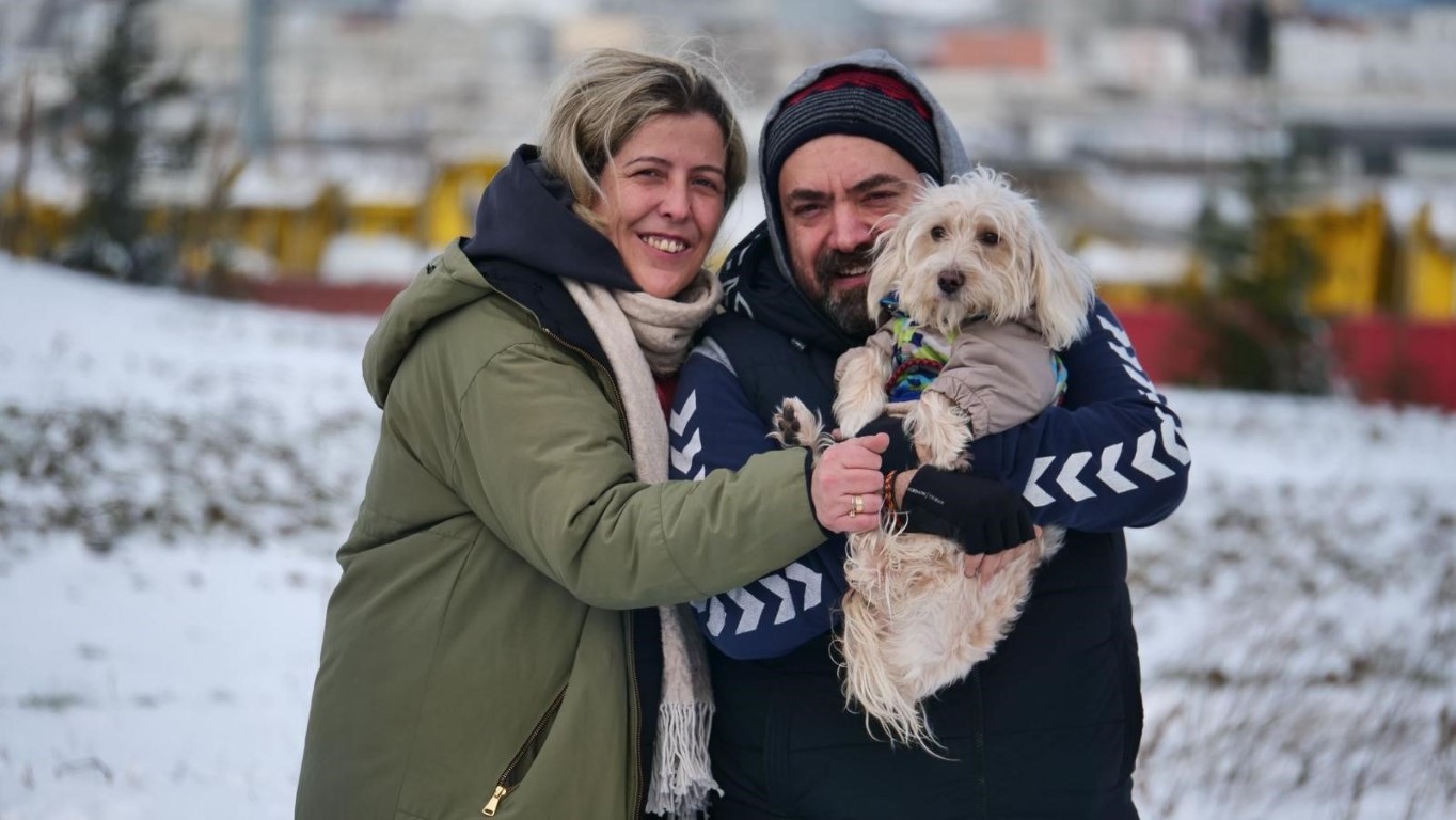 Köpek otelinde ihmal iddiası: Tarçın ölü bulundu, aile davacı oldu