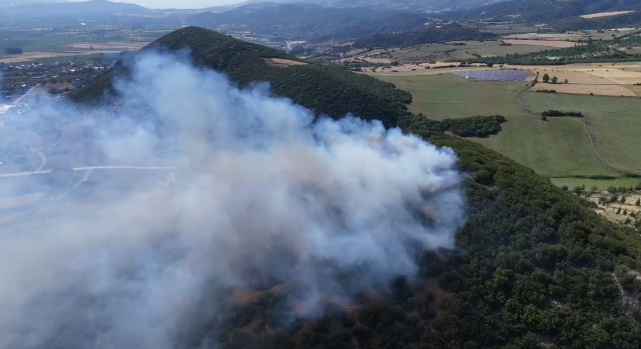 Tokat’ta orman yangını: 20 dönüm küle döndü