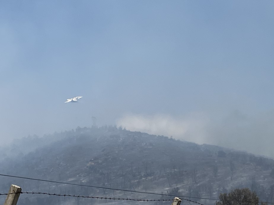 İzmir ve Aydın'da orman yangını: Alevler evlerin bahçelerine kadar yaklaştı