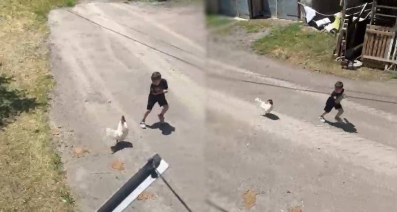 Küçük çocuğun horozla imtihanı: Horoz kovaladı minik Ömer Arda kaçtı