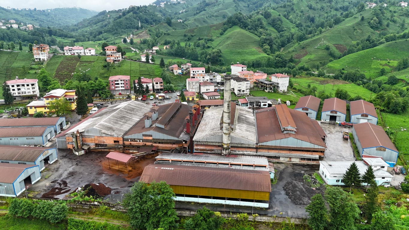 Çay fabrikasının bacasından çıkan kömür tozları çay bahçelerine yağıyor
