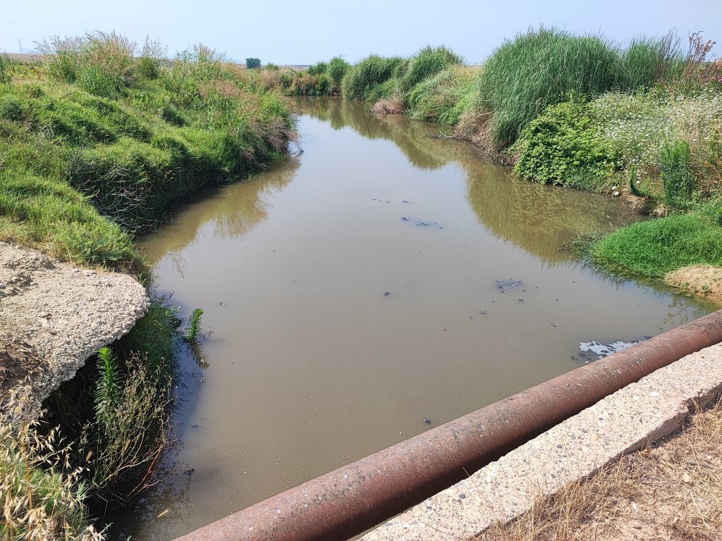 Dere yatağına kanalizasyon akıyor