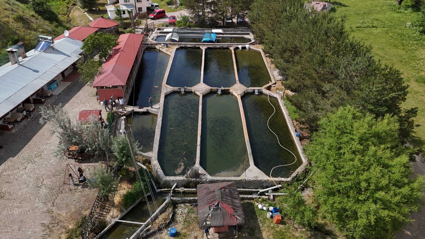 Denize kıyısı olmayan Sivas’ta üretilen balıklar dünyaya pazarlanıyor