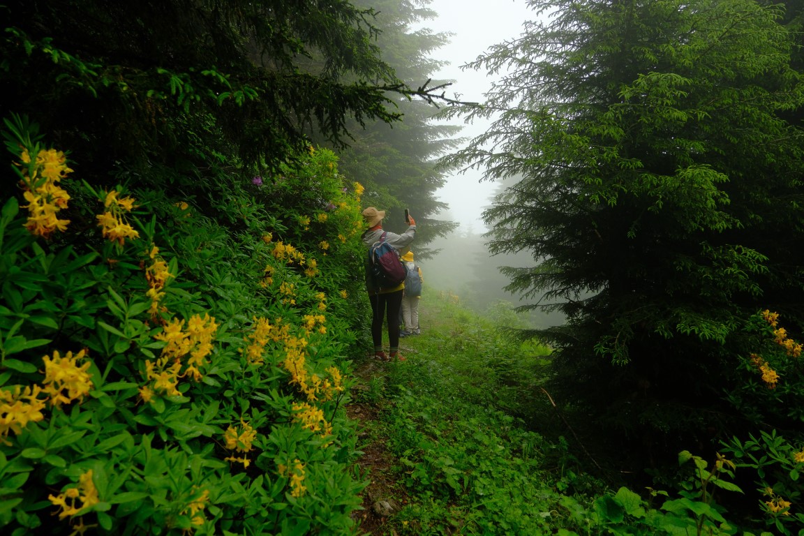 <p><strong>Rengarenk &Ccedil;i&ccedil;ekler ve Tarihi Patikalar</strong><br />&Ccedil;evresindeki yemyeşil ormanları, huzur dolu y&uuml;r&uuml;y&uuml;ş yolları ve mistik yapısıyla ziyaret&ccedil;ilerine doğanın kalbinde dingin anlar yaşatan Santa Harabelerinde ge&ccedil;mişin izlerini s&uuml;ren bir yolculuk yapan 38 G&Uuml;DAK &uuml;yesi doğasever ormanların derinliklerinde taş d&ouml;şeli patikalar, k&ouml;pr&uuml;lerle tarihin bir araya geldiği bir deneyim yaşadı.</p>