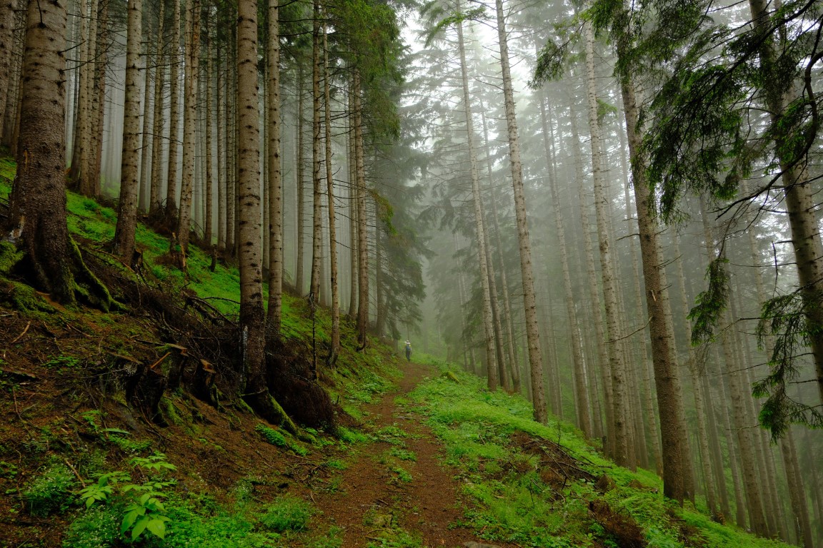 <p>Ara&ccedil;la b&ouml;lgeye ulaşan sporcular İşhanlı Mahallesini aştıktan sonra tarihi patika yoldan y&uuml;r&uuml;y&uuml;ş devam etti. Orman i&ccedil;inden eşsiz manzaralar ve kuş cıvıltıları eşliğinde tarihi k&ouml;pr&uuml;leri aşarak tarihi Ayene Yaylasından geri d&ouml;nen sporcular yine tarihi patika yolu takip ederek Terzili Mahallesine ulaşıp y&uuml;r&uuml;y&uuml;ş&uuml; sonlandırdı.</p>