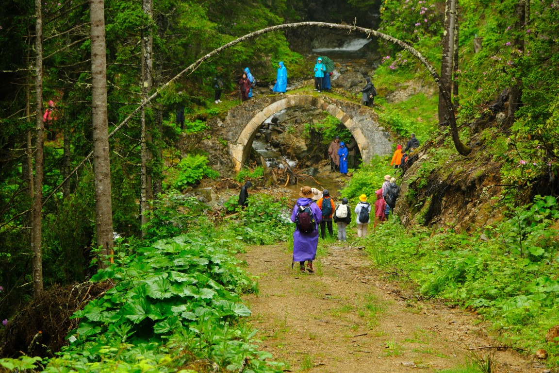 <p>G&uuml;m&uuml;şhane &Uuml;niversitesi akademisyenlerinden Aleyna G&uuml;n de "&Ccedil;ok g&uuml;zel tarihi alanlarda, tarihi bir yolda y&uuml;r&uuml;y&uuml;ş yaptık. &Ccedil;ok g&uuml;zeldi. Zifin &ccedil;i&ccedil;eklerinin rengarenk yolumuzu s&uuml;slemesiyle birlikte aynı zamanda bize yağmur da eşlik etti. Yağmurun &ccedil;ıkardığı toprak kokusu ile doğayla b&uuml;t&uuml;nleştik. &Ccedil;ok g&uuml;zel bir deneyimdi. Doğayı seven, k&uuml;lt&uuml;r&uuml; seven herkesin G&uuml;m&uuml;şhane'nin g&uuml;zelliklerini deneyimlemesini isterim. Hepinizi G&uuml;m&uuml;şhane'ye bekleriz" ifadelerini kullandı.</p>