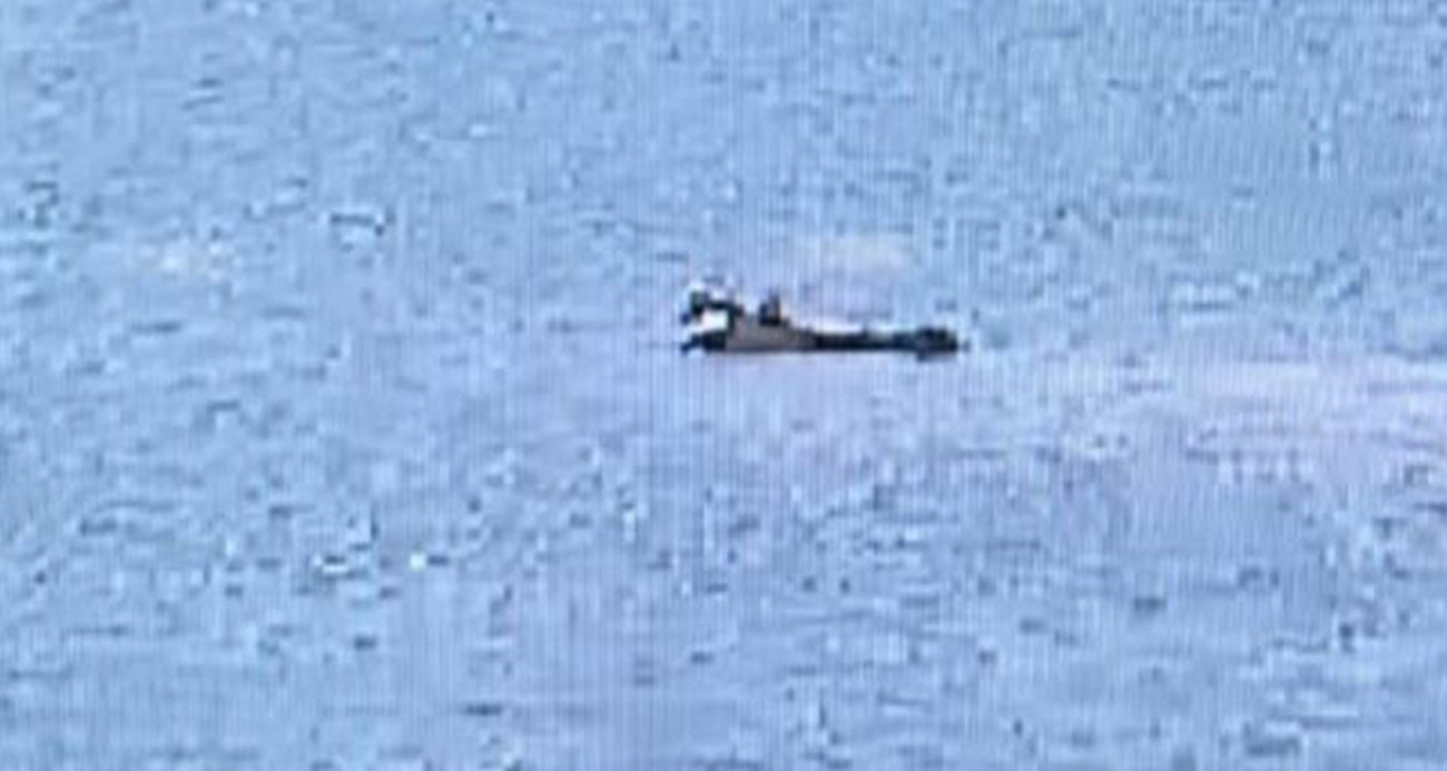 Adana’da yangın söndürme uçağı düştü