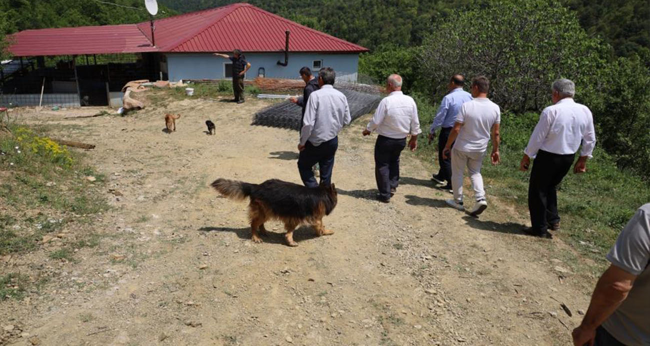 Bafra’da muhtarların tepkisini çeken izinsiz köpek barınağı mühürlenerek kapatıldı