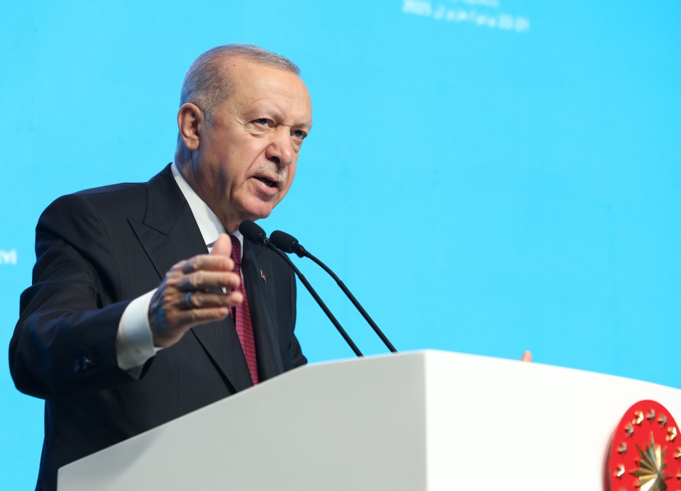 Cumhurbaşkanı Erdoğan: 