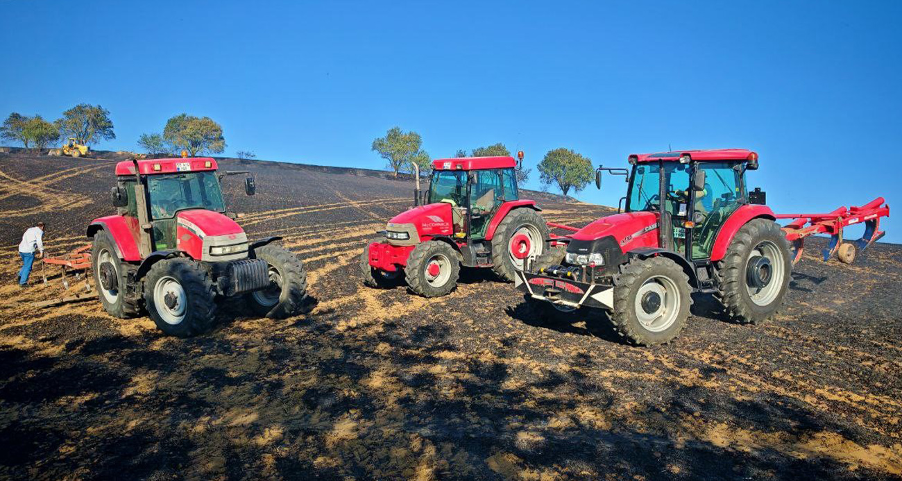 Tekirdağ’da buğday tarlasında çıkan yangında 200 dönüm alan kül oldu