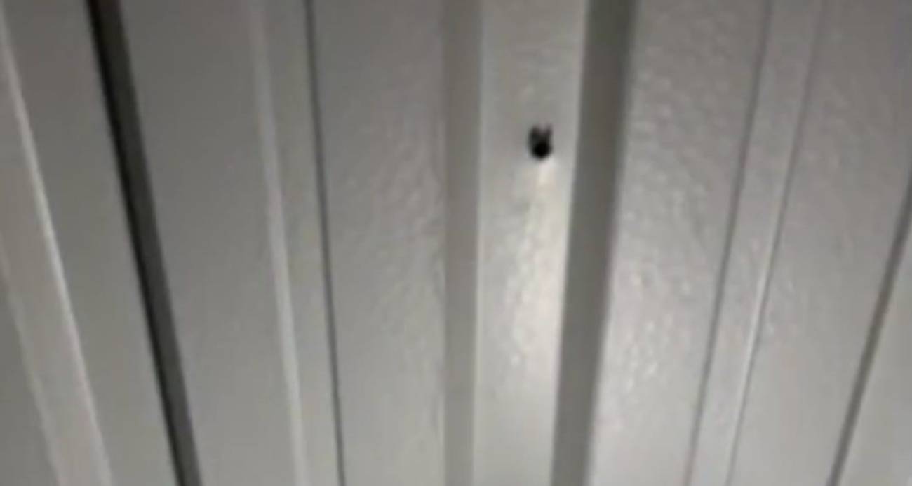 Adana’da yorgun mermi, ailenin oturduğu çardağa isabet etti