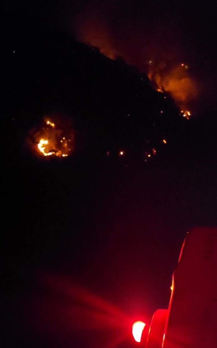 Aydın'da orman yangını gece boyu süren çalışmalarla söndürüldü