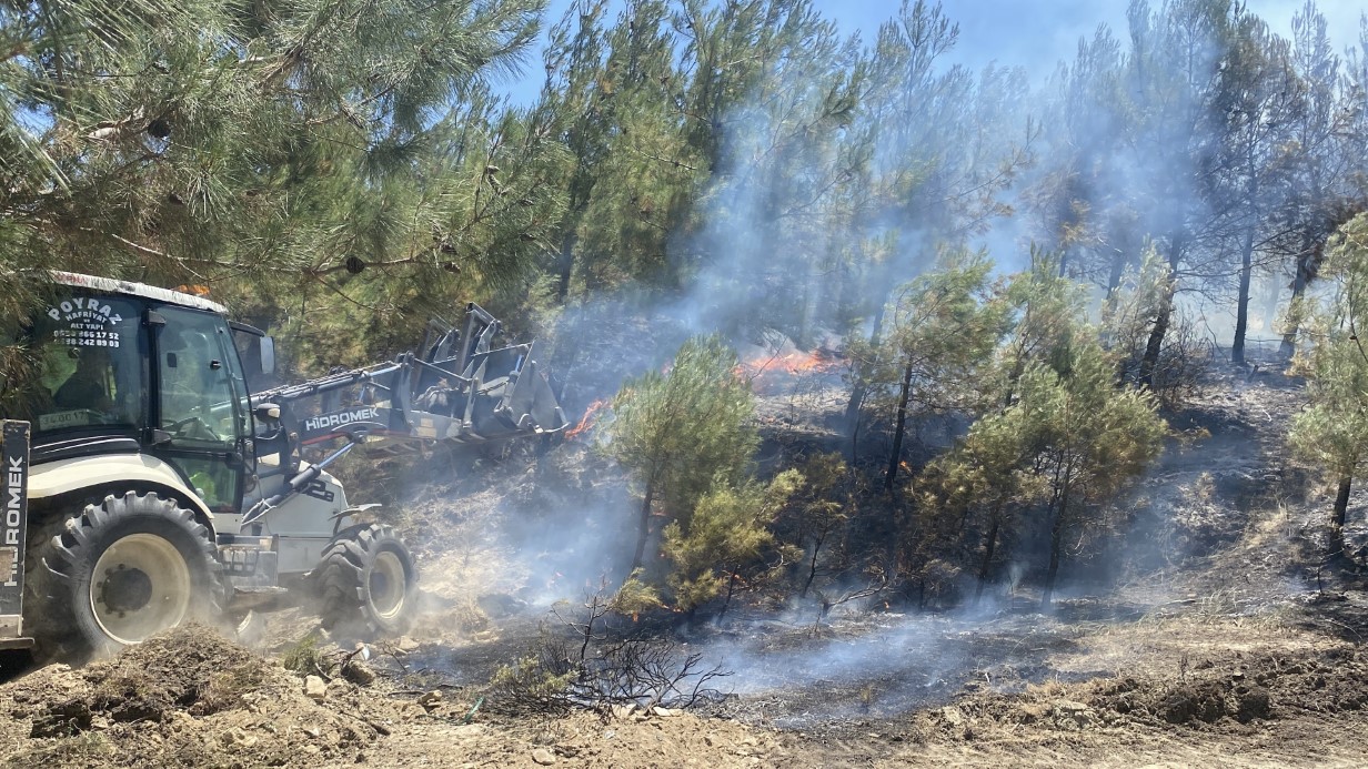 Çanakkale’de tarım arazisinde başlayan yangın ormanlık alana sıçradı