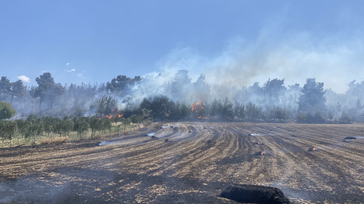 Çanakkale’de tarım arazisinde başlayan yangın ormanlık alana sıçradı