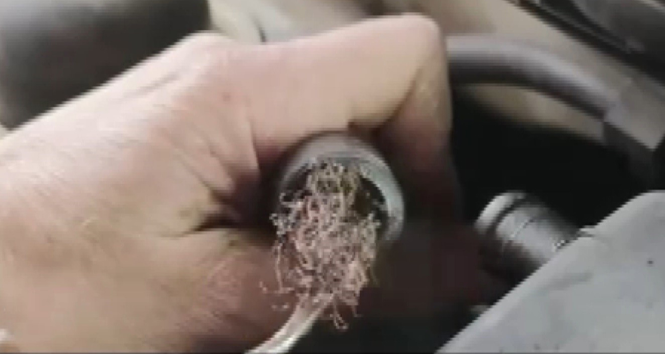 Pes dedirten görüntü: Otomobilin motorundan bulaşık teli çıktı