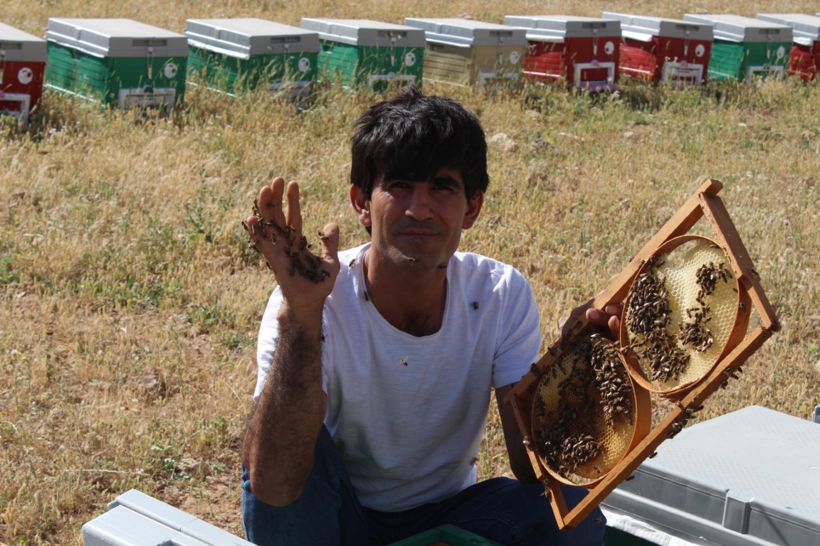 Siirtli arıcının arılarla kurduğu bağ görenleri şaşırtıyor