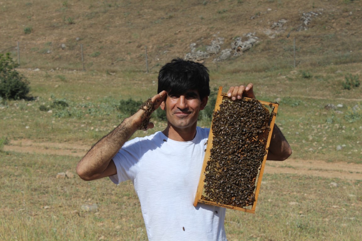Siirtli arıcının arılarla kurduğu bağ görenleri şaşırtıyor