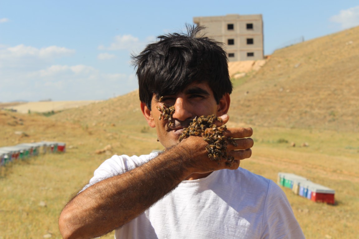 Siirtli arıcının arılarla kurduğu bağ görenleri şaşırtıyor