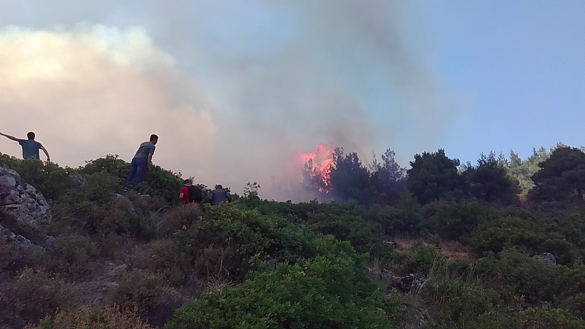 Alevlerin içinde hayatta kalma mücadelesi
