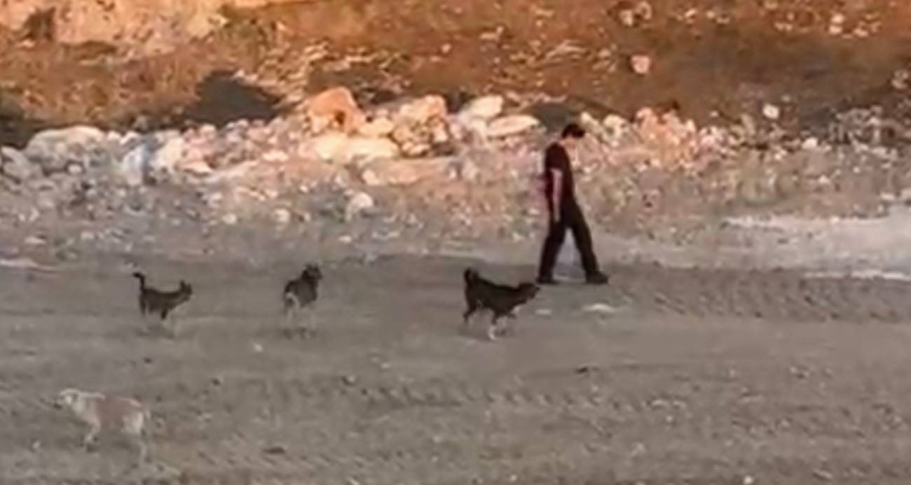 Sakinliği ile şaşırttı