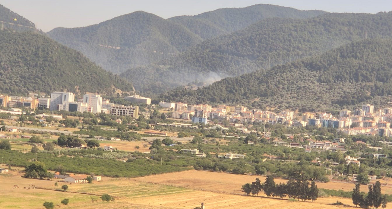 İzmir’de orman yangını: Müdahale sürüyor