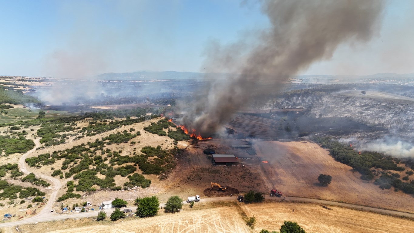 Ezine’deki yangında 287 futbol sahası büyüklüğünde alan zarar gördü