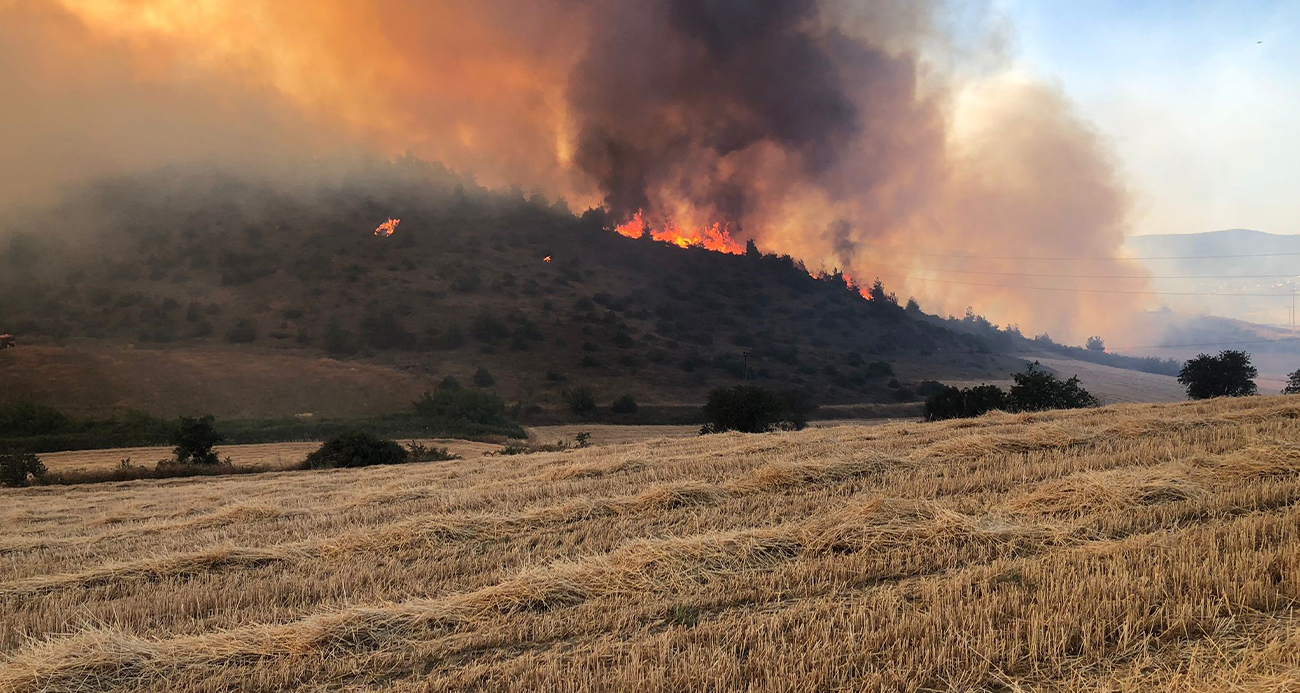 Bilecik’teki yangın kontrol altına alındı: 50 hektar alan zarar gördü