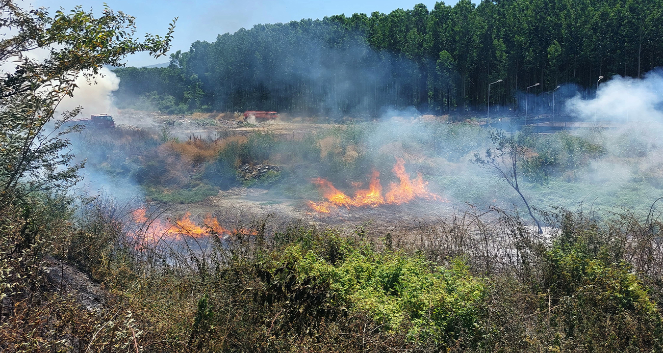Sakarya’da ormanlık alanda yangın: Ekipler seferber oldu