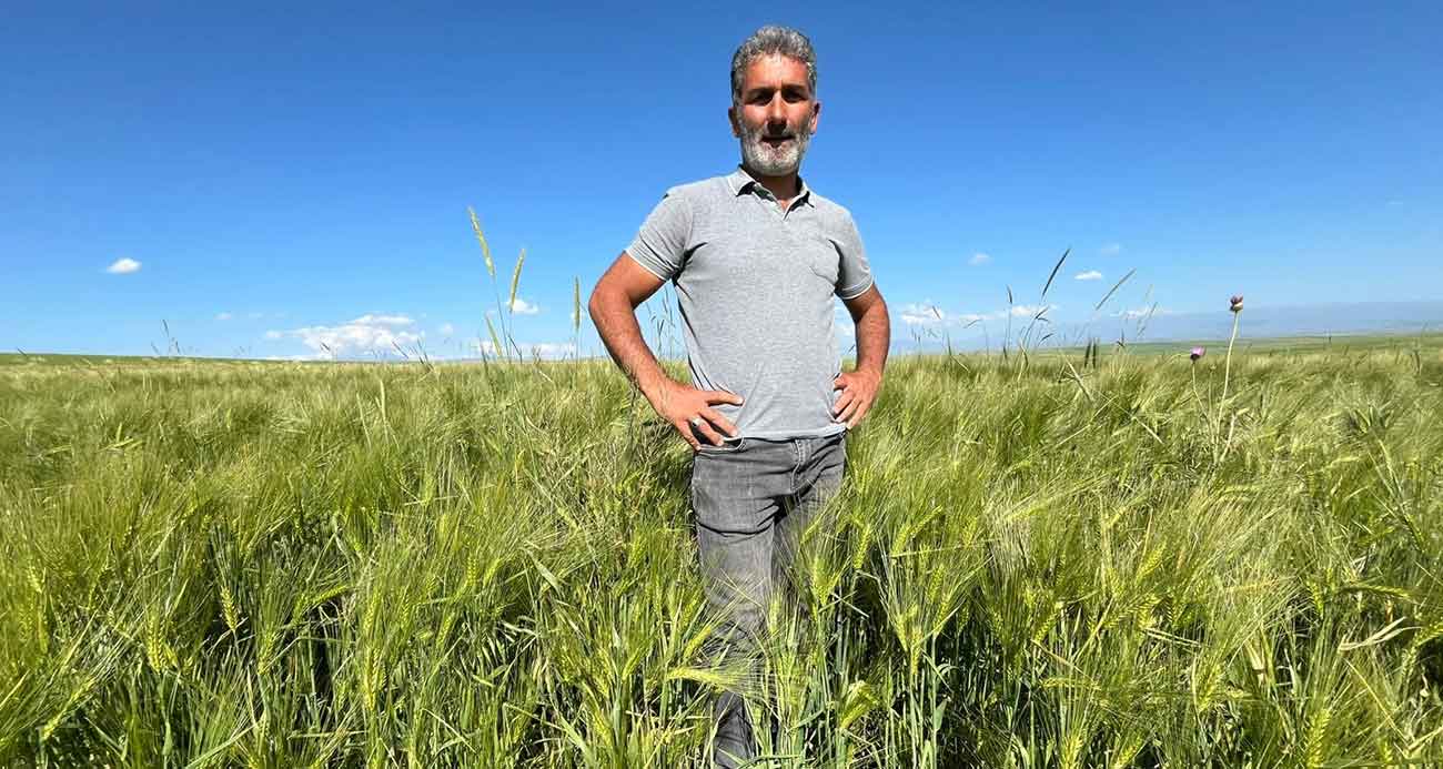 Kars’ta tarım arazilerinde yerli ve milli arpa bereketi