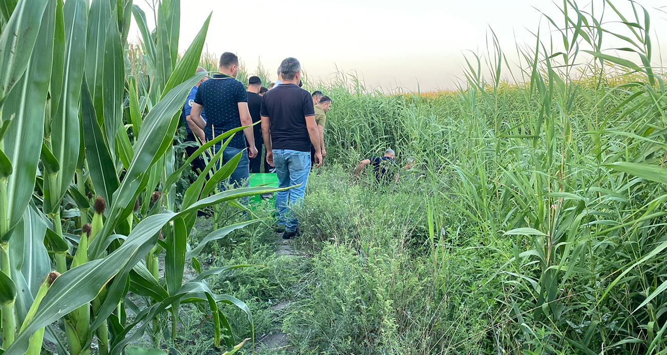 Adana’da sazlıklar arasında bir kişi ölü bulundu